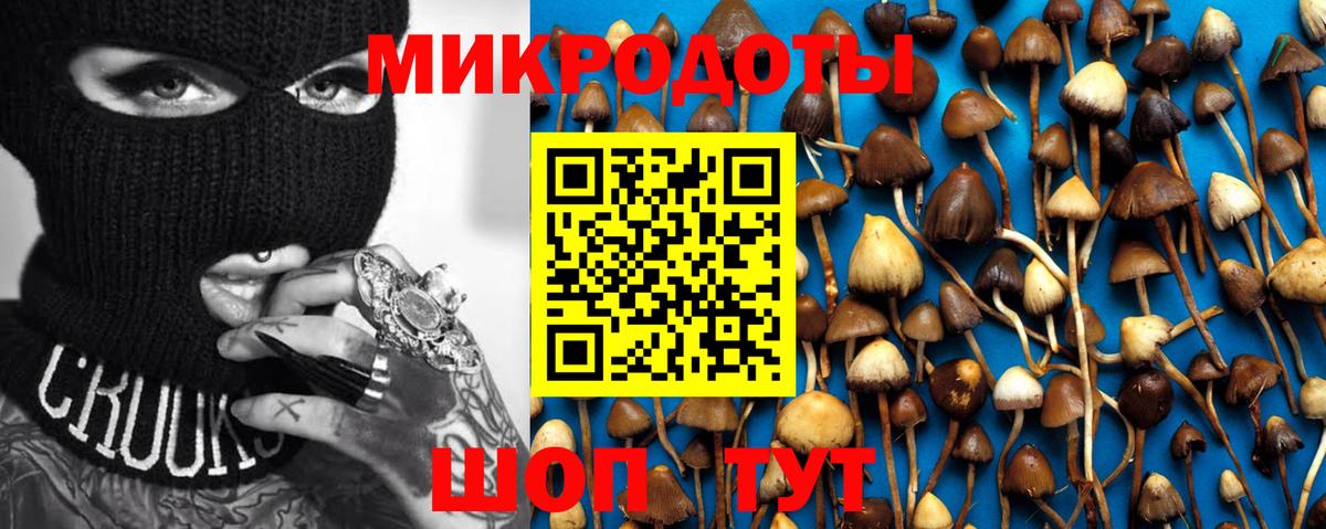 Галлюциногенные грибы GOLDEN TEACHER  Вход с VPN  Соль-Илецк 